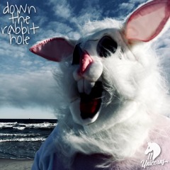 Down The Rabbit Hole (original Mix)