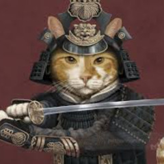 samurai cat $$$