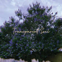 Transparent Soul by WILLOW