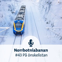 #43 På önskelistan