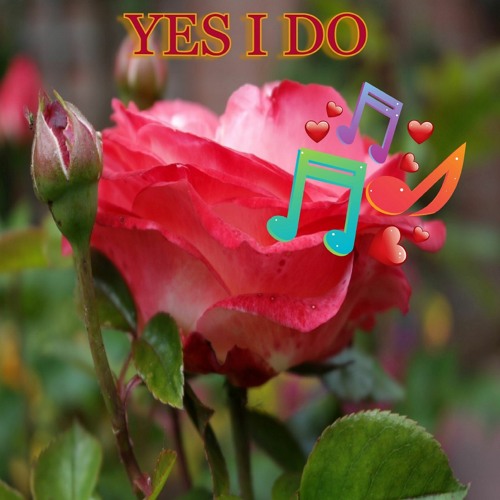 Yes I Do
