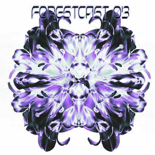 FORESTCAST 03 Simon Schroeder