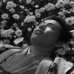 autumn’s interlude