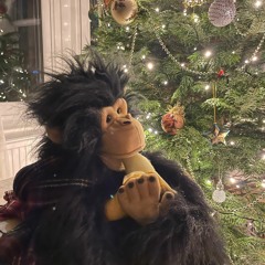 Charlie & Joe - The Man In The Santa Suit