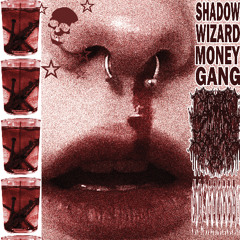 nosebleed ! [ PROD. SHADOW WIZARD MONEY GANG ]