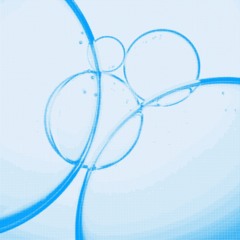 TAX FRAUD - Body Thing