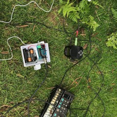 Tiny Leaves - The 'Monday Is OK' Mix