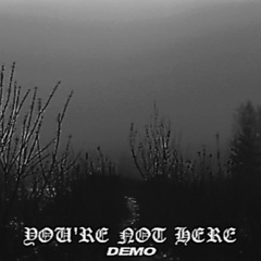 You're Not Here (demo)
