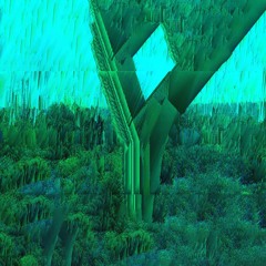The Park