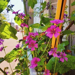 Will Smith Lofi Beats ( More LoFI type beats )