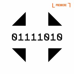 PREMIERE: Larionov - Flying High [Central Processing Unit]