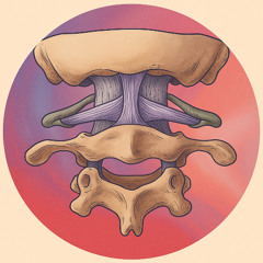 Articulación Atlantooccipital