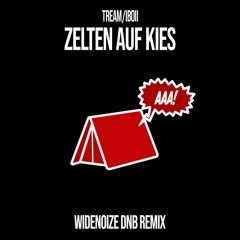 Tream - Zelten Auf Kies (WIDENOIZE DNB REMIX)