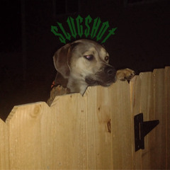 dawg (PROD. SLUGSHOT)