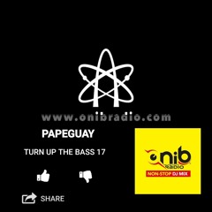 PAPEGUAY - TURN UP THE BASS 17 - One Night In Belgium