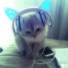 인디