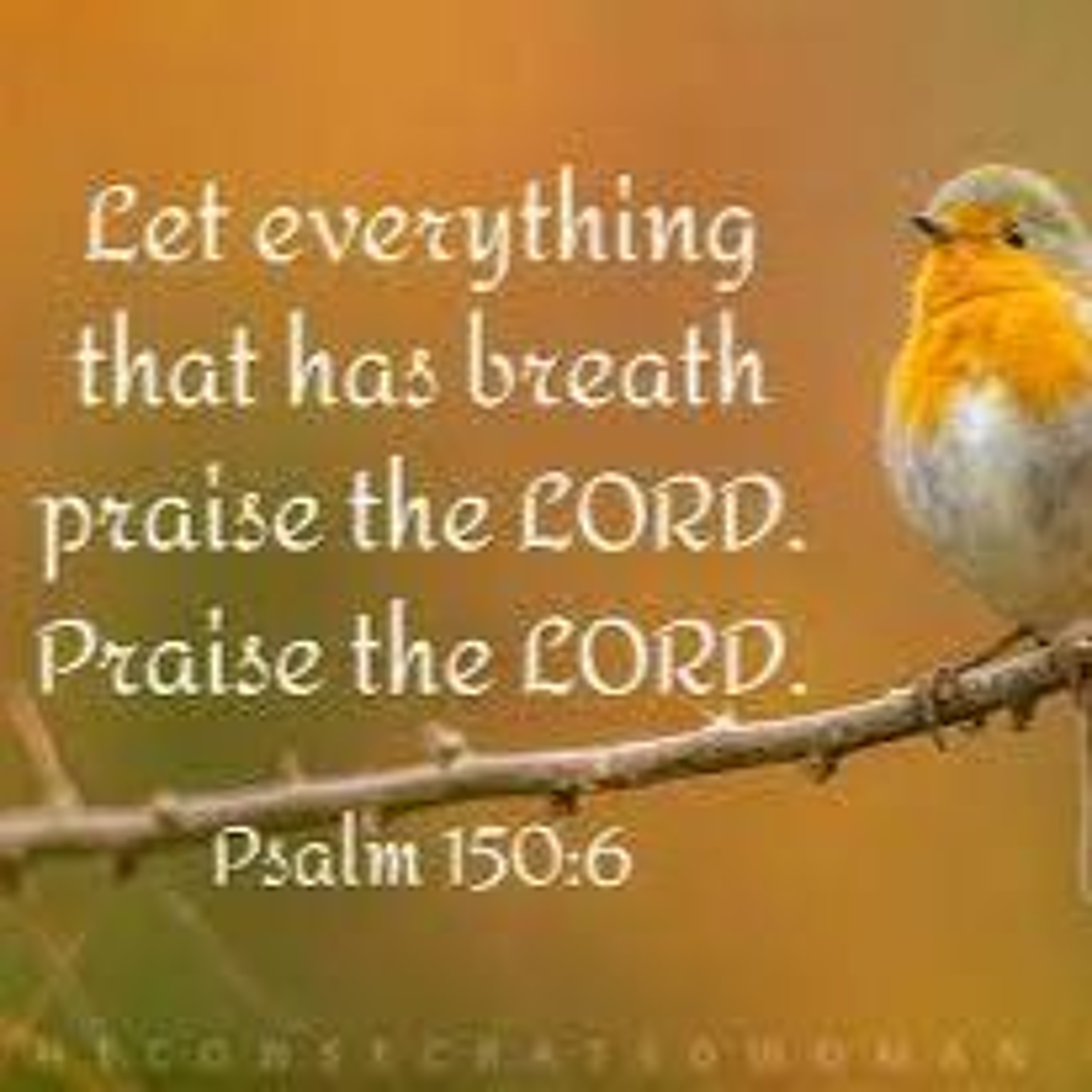 New Beginnings Worship music