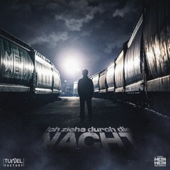 Ich ziehe durch die Nacht (feat. Hans Ahpunkt)