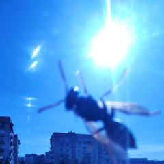 sky - Sampling Project (CES songwriting & music production HW file)