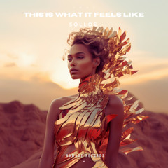 This Is What It Feels Like (Extended Mix)