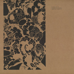 Ricardo Villalobos - Empirical House