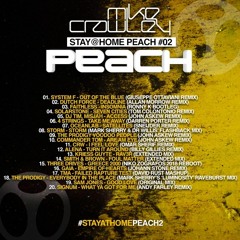 Mike Crawley - Peach Stay at Home 2