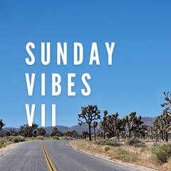 Sunday Vibes VII
