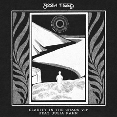 Clarity In the Chaos VIP