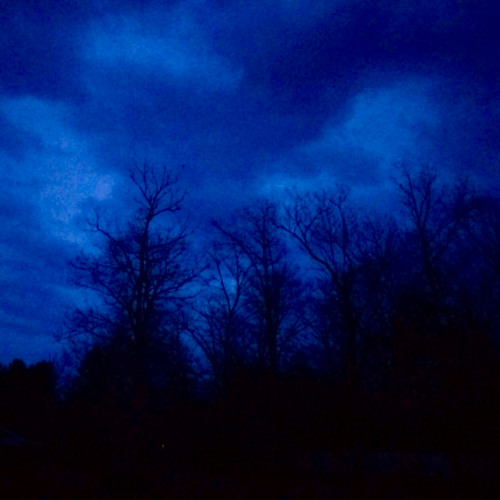 Default Mode Network