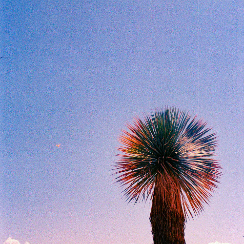 Grim Reaper - 140 Bpm