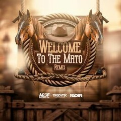 Welcome To The Mato - Marco Brasil Filho  (DOWNLOAD / BAIXAR)