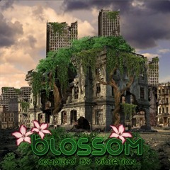 WoZa - Haunted (Original Mix) / Blossom Compilation / Free Download