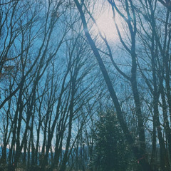 2023.12.19 “シュビドゥバ” live