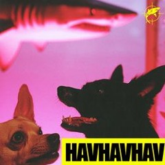 HAVHAVHAV Lvbel C5 "Sezen Aksu"yu okuyan Serdar