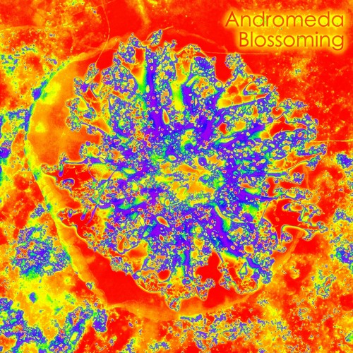 Andromeda Blossoming