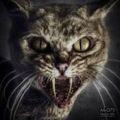 worst loop at 10am sstepteam ver.