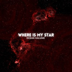 Sylvie (remix) [feat. Ko-c & Afara Tsena]