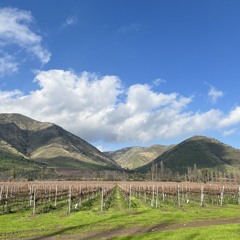 FbA - A Poka Luz Version kkkkk  não entendo mano