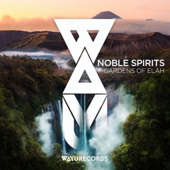 Noble Spirits - Gardens Of Elah (Holed Coin Remix)