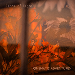 Sense of Light