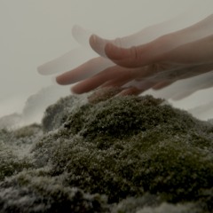 Mathilde Nobel - I Eat Air