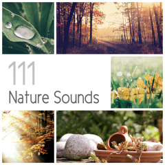 Piano: Relaxing Study Music