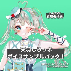 V-GARE 現地参加特典 XFD