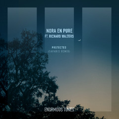 Nora En Pure feat. Richard Walters - Protected (SAFARIS Remix)