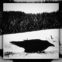 A raven dies and a lynx rises from the ashes