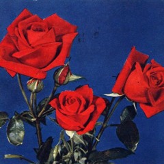 4th Street Bass Octave Up