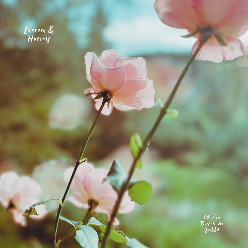 LEMON & HONEY