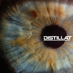 Blink [Free Download]