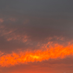 keep it real (kirani)