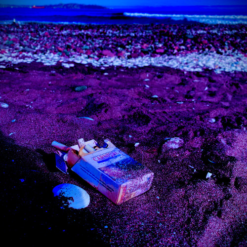 Moonlight - Kali Uchis (M.P.X. Edit)